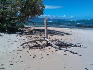 sieht nach Entspannung aus :-)