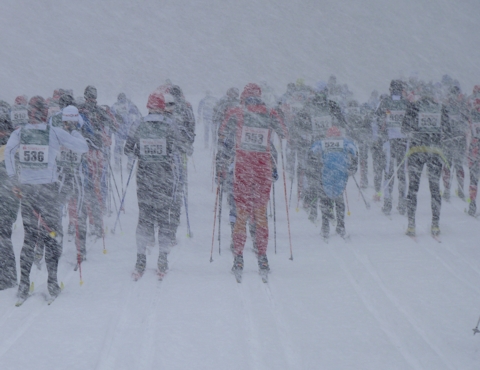 Annett auf ungewohntem Terrain ...