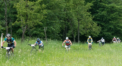 Über Stock und über Stein ...