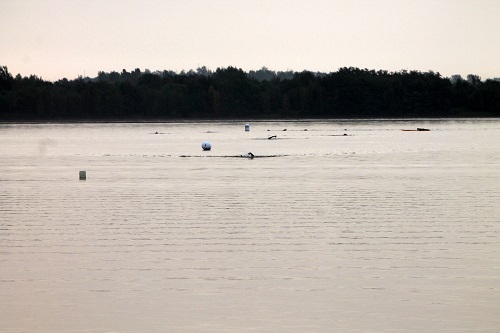 dieses Jahr im ruhigem Gewässer schwimmen